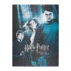 Grupo Erik - Puzzle 500 Pièces Harry Potter à LÉcole des Sorciers | Puzzle Adulte et Enfant, Affiche Harry Potter