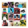 Galison Momo The Dog Puzzle, 500 Pieces, 20” x 20 – Colorful Puzzle Featuring 16 Adorable Dog Images - Thick, Sturdy Pieces