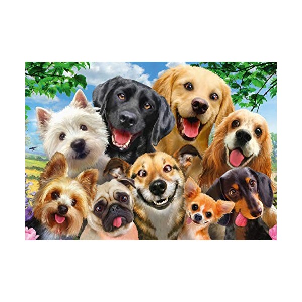 Schmidt, Dog Selfie Puzzle - 500pc, Puzzle, Ages 12+, 1 Players