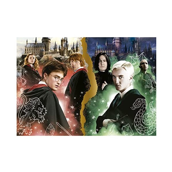 Educa - 1000 Harry Potter Neon, Puzzle spectaculaire de 1000 pièces phosphorescentes pour Adultes. Colle Fix Puzzle Incluse. 