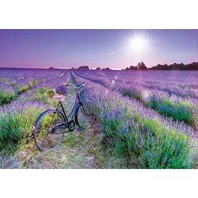 Educa - Vélo dans Le Champ de Lavande | Puzzle de 1000 pièces | Mesure approximative: 68 x 48 cm | Inclut Fix Puzzle pour acc
