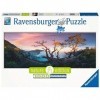 RAVENSBURGER Puzzle 40055556333 Jeu de Puzzle 1000 pièce s , 17094