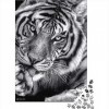 Visionpz Puzzles pour Adultes Puzzle 1000 pièces Tigre Noir et Blanc Casse-tête de défi cérébral Animal Puzzle Cadeau personn