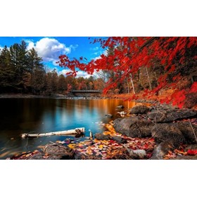 1000 Puzzles pour Enfants Adultes en Carton de lac à Feuilles caduques Ensemble de Puzzles Jouets éducatifs défi Puzzle Jouet