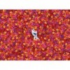 Clementoni- Disney La Reine des Neiges 2, 39526, Multicolore