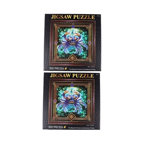 Vaguelly 1 Ensemble 300 Pièces Jeu de Puzzle dintelligence Casse-tête Adulte Peinture scie sauteuse énigmes Puzzle Signe du 