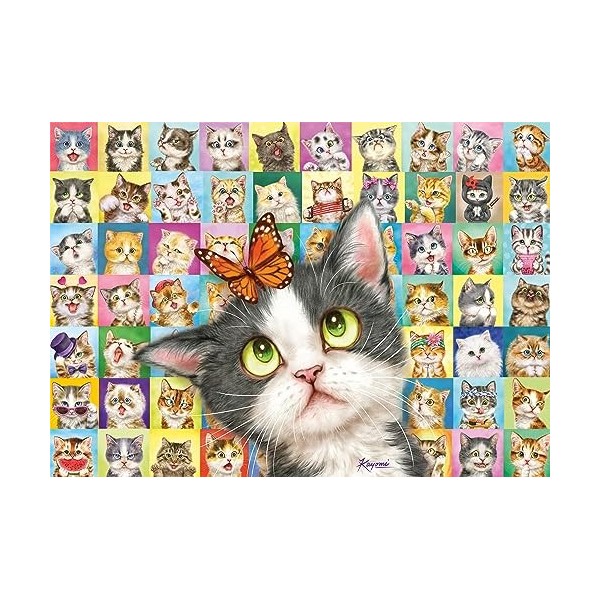 Schmidt Spiele 59759 Expressions faciales de Chat, 1000 pièces Puzzle, Coloré