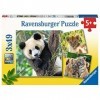 Ravensburger- Tiger Puzzle 05666 Panda, Tigre et Lion – 3 x 49 pièces pour Enfants à partir de 5 Ans, 5666