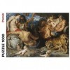 Rubens - Les Quatre Continents: 1000 Pieces
