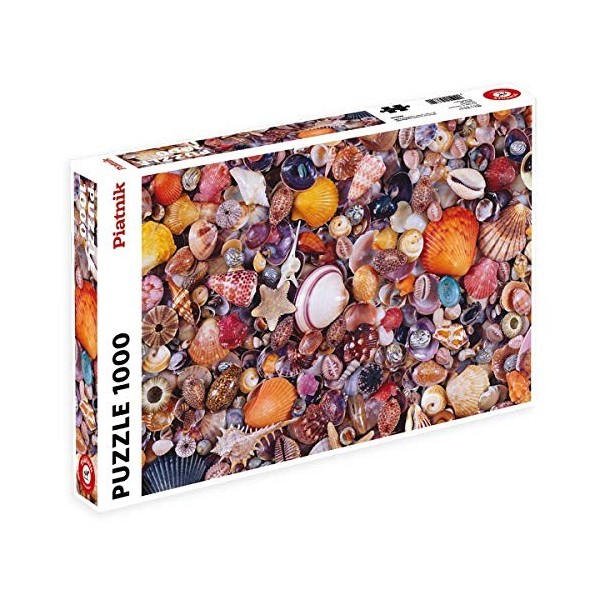 Coquillages: 1000 Pieces