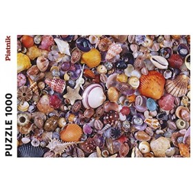Coquillages: 1000 Pieces