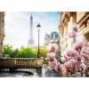 Ravensburger - Puzzle Adulte - Puzzle 500 pièces - Le printemps à Paris - Adultes et enfants dès 12 ans - Puzzle de qualité s