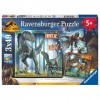 Ravensburger - Puzzle Enfant - Puzzles 3x49 p - T-rex et autres dinosaures / Jurassic World 3 - Dès 5 ans - Puzzle de qualité