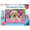 Ravensburger - Puzzle Enfant - Puzzles 2x24 p - Amis tout doux - Dès 4 ans - 05029