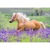 Ravensburger - Puzzle Enfant - Puzzles 2x24 p - Lamour des chevaux - Dès 4 ans - 05148