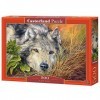 Castorland- Puzzle, CSB53285, Coloris Assortis