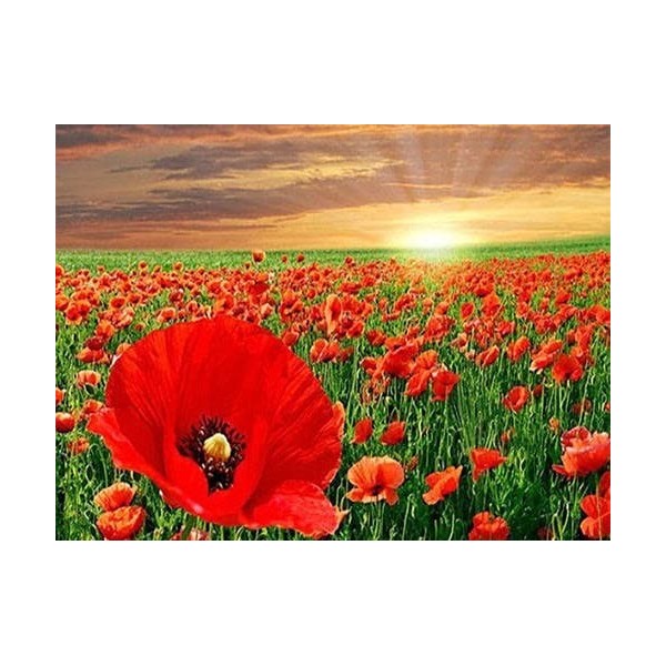 Adulte 1000 pièces puzzle plante coquelicot fleur photo décoration de la maison puzzle en bois éducatif éducation précoce jou