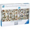 RAVENSBURGER 15062 - Puzzle 10