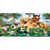 Castorland Puzzle CSB53230 - Divers