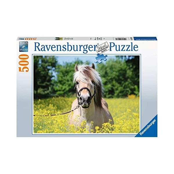 Ravensburger Erwachsenenpuzzle-15038 Puzzle de 500 pièces, 15038, Multicolore