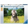 Ravensburger Erwachsenenpuzzle-15038 Puzzle de 500 pièces, 15038, Multicolore