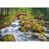 Castorland-1500 pc-Watermill Puzzle, CSC151783, Multicolore