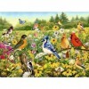 Ravensburger Puzzle 500 pièces Oiseaux dans la Prairie pour Adultes et Enfants à partir de 10 Ans, 16988, Multicolore