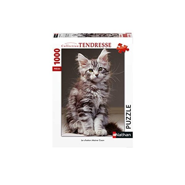 Nathan - Puzzle 1000 pièces - Le chaton Maine Coon - Adultes et enfants dès 14 ans - Puzzle de qualité supérieure - Encastrem