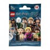 LEGO Minifigurines - Harry Potter et Les Animaux Fantastiques - 71022 - Jeu de Construction, Multicolore