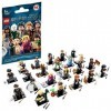 LEGO Minifigurines - Harry Potter et Les Animaux Fantastiques - 71022 - Jeu de Construction, Multicolore