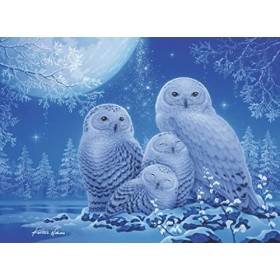 Ravensburger - Puzzle Adulte - Puzzle 500 p Star Line - Chouettes au clair de lune - 16595