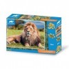 Grandi Giochi- Leone Discovery Lion Puzzle lenticulaire Horizontal avec 500 pièces incluses et Emballage avec Effet 3D-PU2000