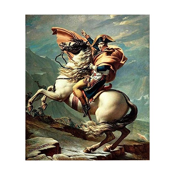 Puzzle - Napoléon Bonaparte - 500 pièces