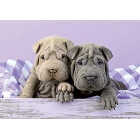 Educa - Puzzle de 100 pièces pour Enfants | Bonjour ! Composé de Grandes pièces Parfaitement finies. Recommandé à partir de 6