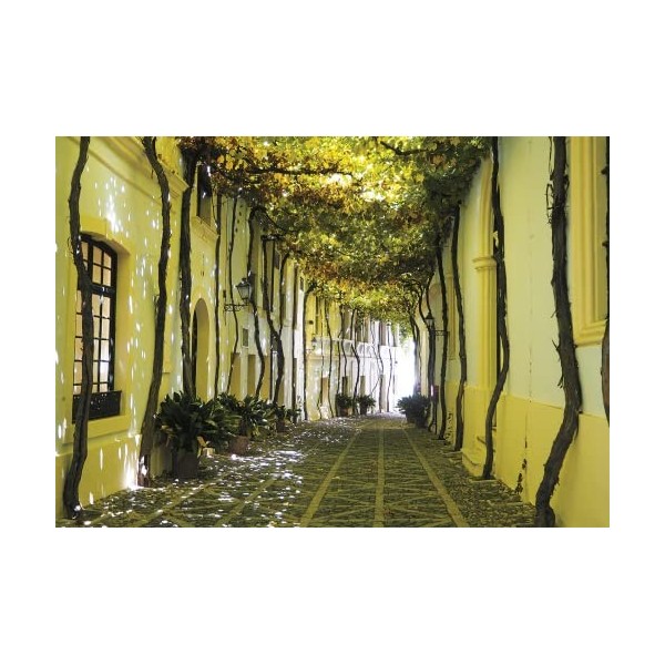 Piatnik- Puzzle de 1000 pièces-Ruelle andalouse, 5583