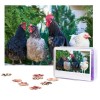 Quatre puzzles de poulet de 300 pièces personnalisés pour photos de famille pour adultes, mariage, anniversaire 75 x 50 cm 