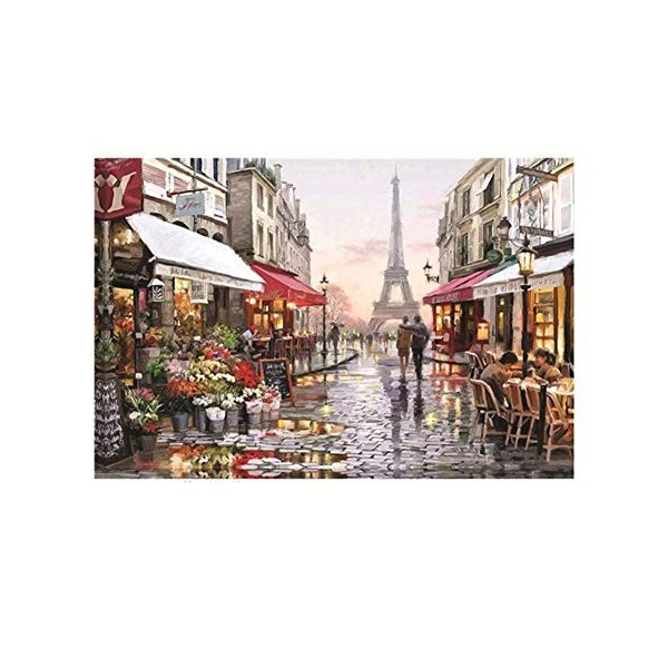 Jigsaw Puzzles 1000 Pièces--Belle Paysage Puzzle--Carton et Puzzles Jouets Éducatifs Jeux--pour Adultes Adolescents Jouant à 