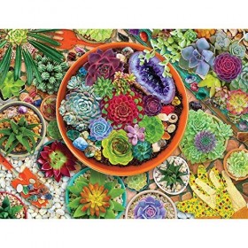 Springbok 500 Piece Jigsaw Puzzle Succulent Garden