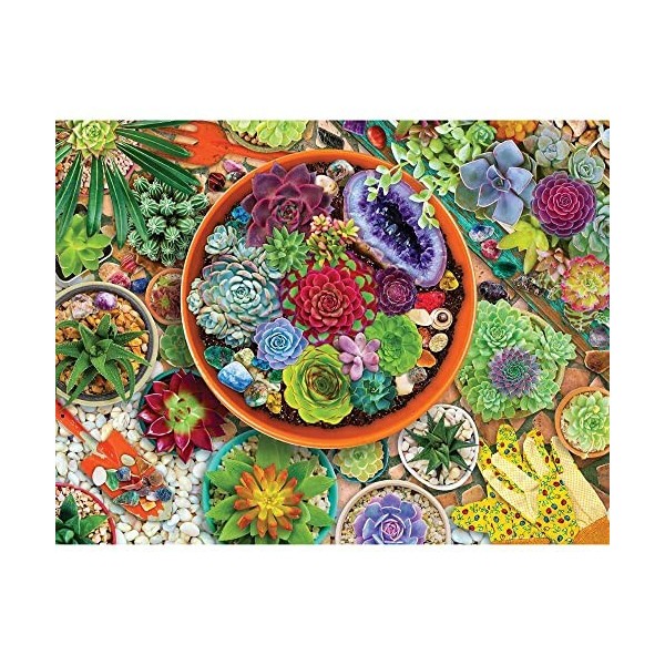 Springbok 500 Piece Jigsaw Puzzle Succulent Garden