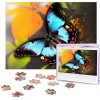 Puzzle de 500 pièces pour adultes Belle étoile de mer sur la plage sur le sable Puzzle Animal cool Puzzle de Noël Cadeau Puzz