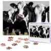 Puzzle de 500 pièces pour adultes - Noir, blanc, bleu sarcelle, gris, rose - Puzzle animal cool - Puzzle de Noël - Cadeau pou