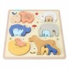 Puzzle Cognitif Animal – Panneau Apparié en Bois, Blocs De Construction, Puzzle, Jouets, éducation Précoce pour Les Couleurs 