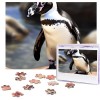 Puzzle de 500 pièces pour adultes - Pingouin africain - Puzzle cool animal de Noël - Puzzle cadeau pour la famille - Taille 5