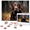 Puzzle 500 pièces pour adultes Labrador retriever Puzzle Cool Animal Noël Puzzle Cadeau pour la famille Taille 52 x 38 cm