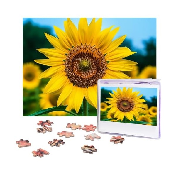 Puzzle 500 pièces pour adultes Beauté Plage Puzzle Cool Animal Noël Puzzle Cadeau pour Famille Taille 52 x 38 cm