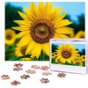 Puzzle 500 pièces pour adultes Beauté Plage Puzzle Cool Animal Noël Puzzle Cadeau pour Famille Taille 52 x 38 cm