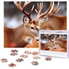 Puzzle 500 pièces pour adultes Beauté Plage Puzzle Cool Animal Noël Puzzle Cadeau pour Famille Taille 52 x 38 cm