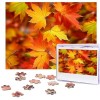 Puzzle 500 pièces pour adultes style art fruit puzzle cool animal Noël puzzle cadeau pour la famille taille 52 x 38 cm