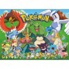 Buffalo Games - Pokémon – Puzzle de 100 pièces