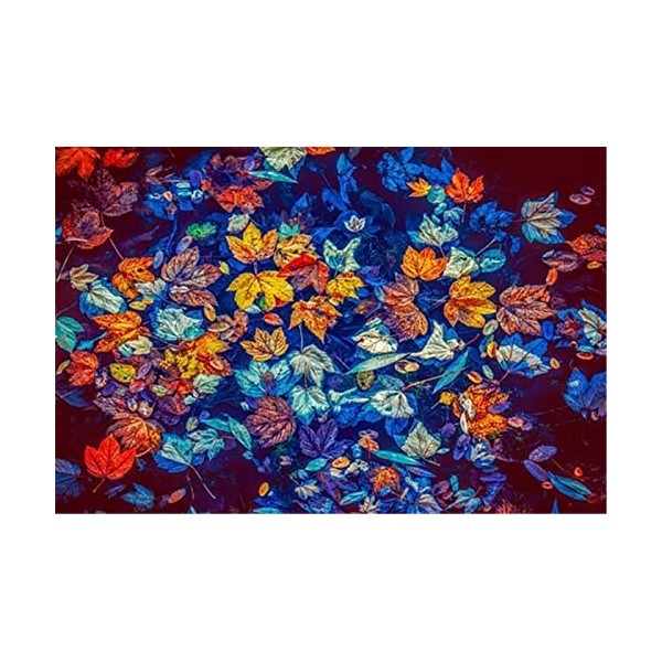 Puzzles pour adultes Puzzle 200 pièces - feuilles colorées - pour adultes 200 pièces Puzzle 200 pièces-25x35cm 9.84x13.77inch